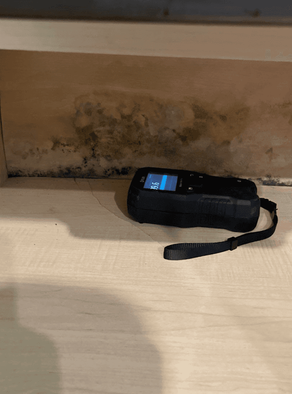 Mold Remediation in Austin, TX by CDG Restoration & Construction